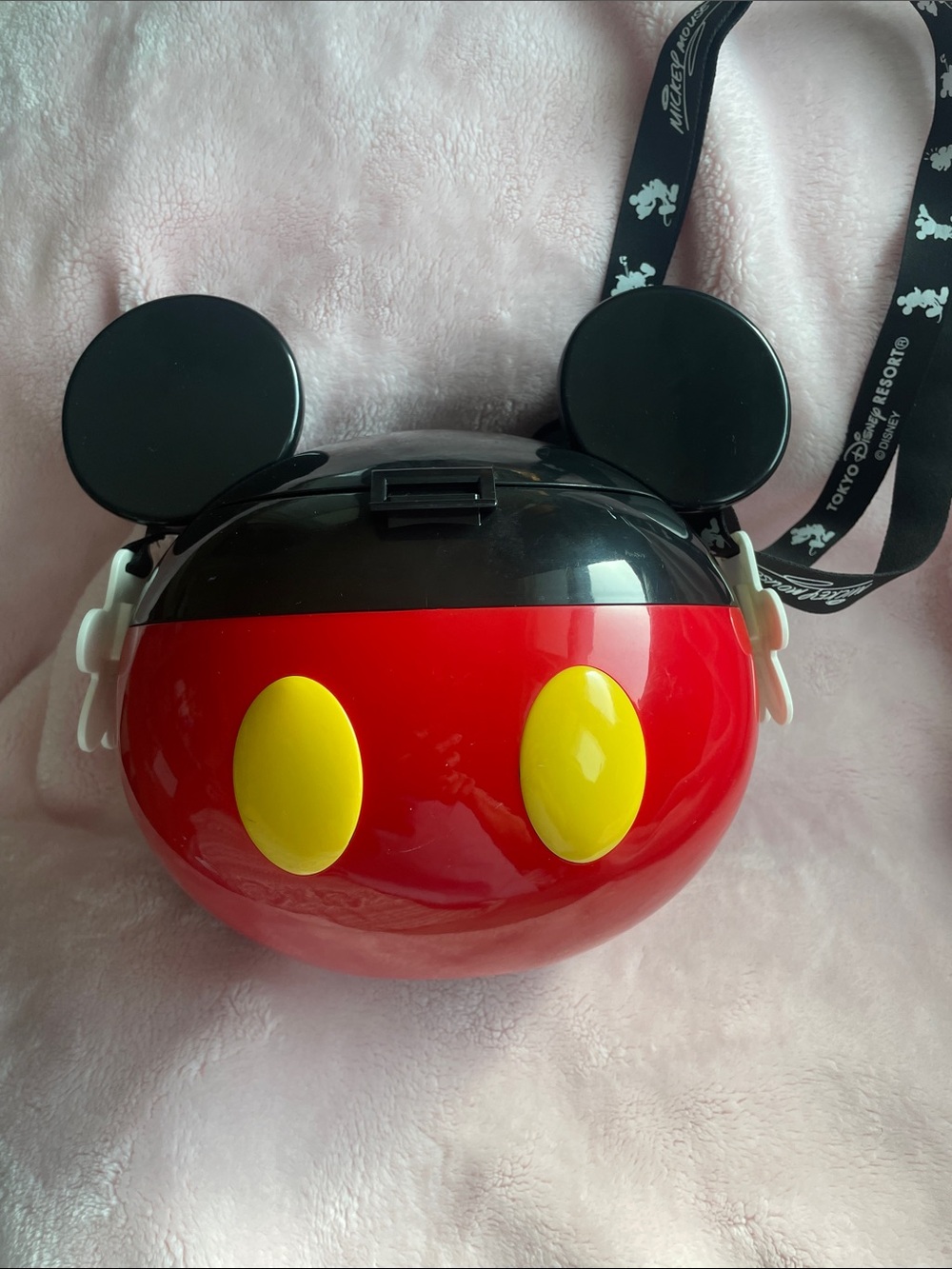 Disneyland Tokyo Popcorn Bucket